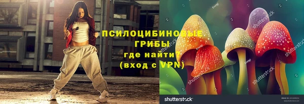 гашик Новокубанск